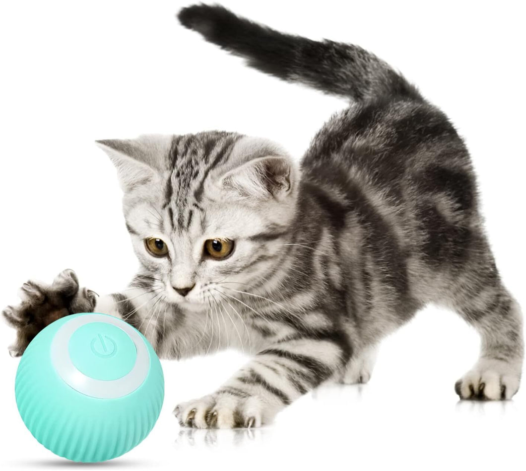 Cat Smart Interactive Ball